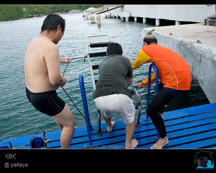 คลิ๊กเพื่อดูภาพขนาดใหญ่

Name:	Pattaya_09.jpg
Views:	0
Size:	76.7 KB
ID:	1490