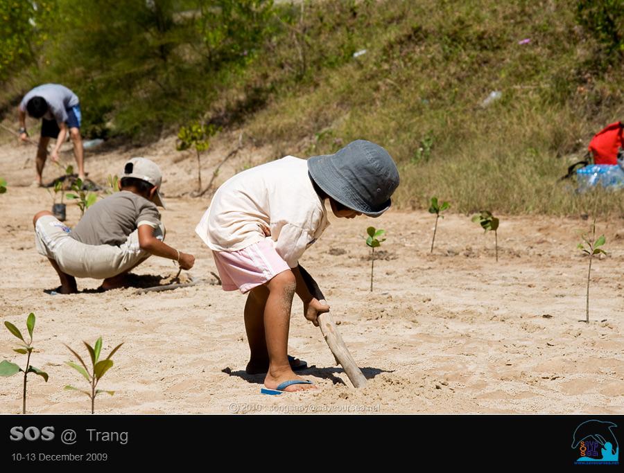 คลิ๊กเพื่อดูภาพขนาดใหญ่

Name:	Mangrove_18.jpg
Views:	0
Size:	79.9 KB
ID:	6043