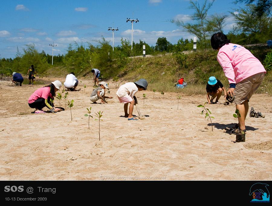 คลิ๊กเพื่อดูภาพขนาดใหญ่

Name:	Mangrove_16.jpg
Views:	2
Size:	85.2 KB
ID:	6045