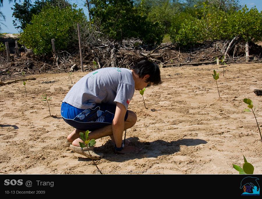 คลิ๊กเพื่อดูภาพขนาดใหญ่

Name:	Mangrove_21.jpg
Views:	3
Size:	114.7 KB
ID:	6048