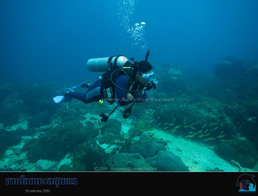 คลิ๊กเพื่อดูภาพขนาดใหญ่

Name:	Lok-Talay-Chumphon_73.jpg
Views:	0
Size:	45.6 KB
ID:	7298