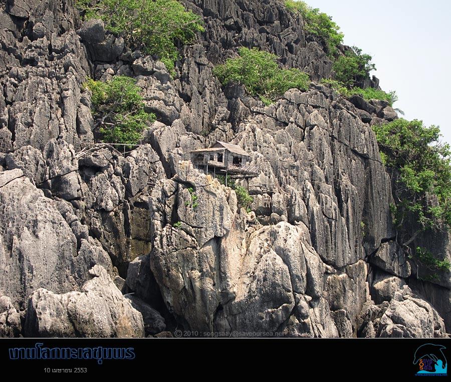 คลิ๊กเพื่อดูภาพขนาดใหญ่

Name:	Lok-Talay-Chumphon_51.jpg
Views:	0
Size:	146.5 KB
ID:	7306